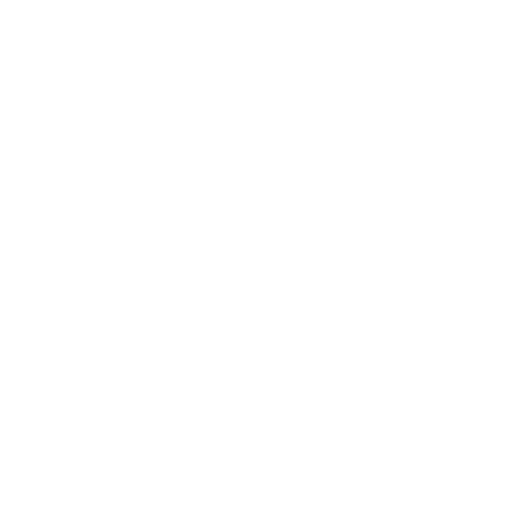 Neural Mechanic